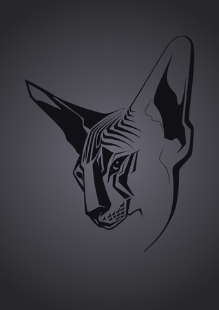 Close-up portrait of hairless Sphinx cat on black background  Vector illustrationのイラスト素材