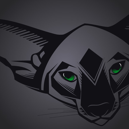 Close-up portrait of Oriental cat on black background  Vector illustrationのイラスト素材