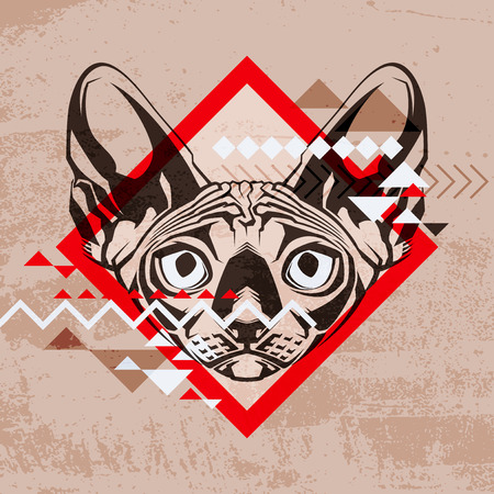 Fashion vector illustration of a catのイラスト素材