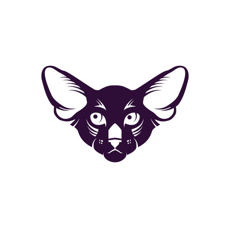 Vector image of cat face on white background. Vector cat head for your designのイラスト素材
