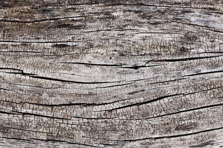 wood texture background