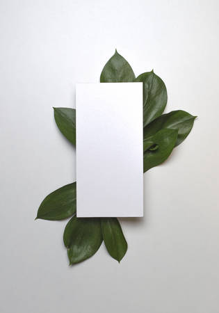 Creative nature layout made of leaves. Flat lay.の写真素材