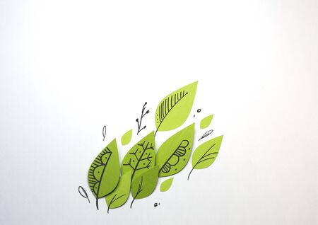 Papercut leaf decorated with drawings by hand on white backgroundの写真素材