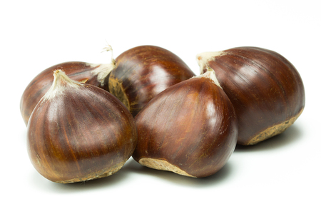 Chestnuts isolated on white background. Studio shot.の写真素材