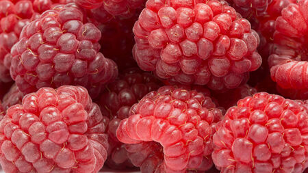 Raspberries. Isolated studio shot.