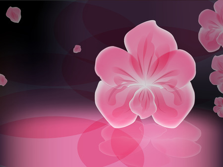 pink orchid on a dark glossy backgroundのイラスト素材