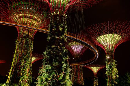 SINGAPORE - OCTOBER 31, 2014: People walking on the bridge at Gardens by the Bay at dusk. Gardens by the Bay was crowned World Building of the Year at the World Architecture Festival 2012のeditorial素材
