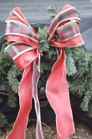 Christmas Bowの写真素材