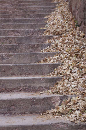 Autumn Stepsの写真素材