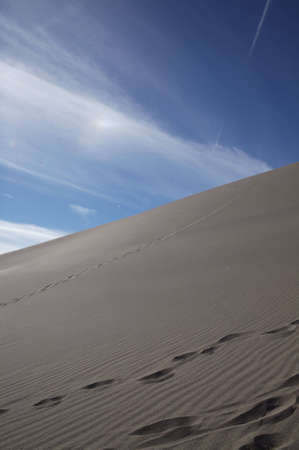 Steep side of a sand dune rising upwardの写真素材