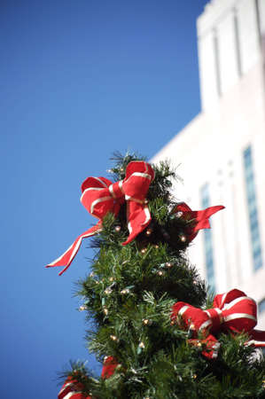 Christmas Tree topperの写真素材