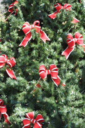 Bows on Branches of a Christmas Treeの写真素材