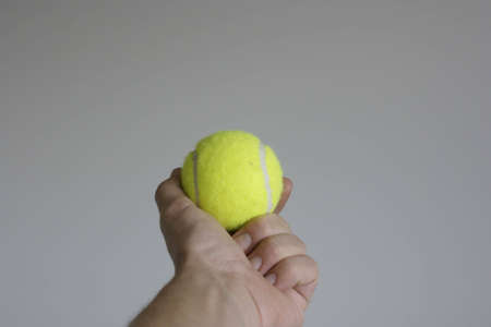 Tennis ball in handの写真素材