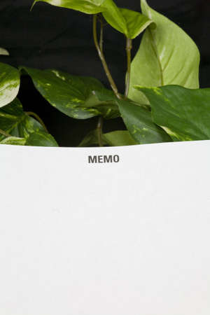 Business memo pad shot against a green vine, representing ecological thinking and ideas. Business...