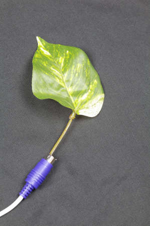 Leaf coming out of a plug of a computer cord. Conceptualization of ecological practices and technology.の写真素材