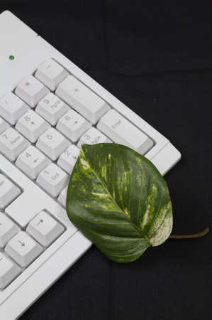 Conceptualization of green business finance practices. Green leaf sitting on a number pad of a...