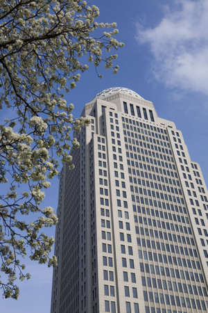 High-rise building framed by a bradford pear tree in full bloom. Blossoms surround this corporate office building.の写真素材