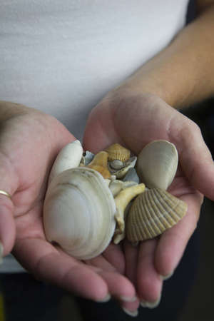 Woman with cupped hands full of small sea shells. Holding up shells of mollusks as a suggestion of...