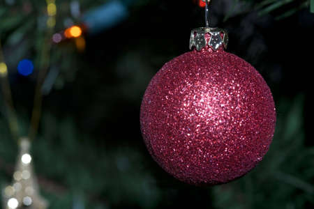 A sparkly red round christmas ornament hanging on a tree.の写真素材