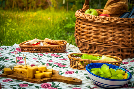 Picnic scene in the park in a sunny dayの写真素材