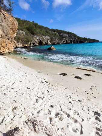 curacao divingの写真素材