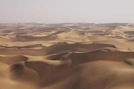 Namib desertの写真素材