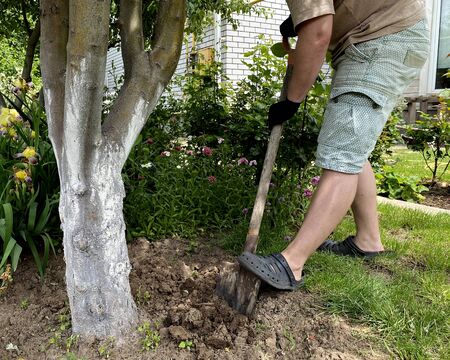 farming, gardening, agriculture and people concept, man with shovel digging garden bed or farm