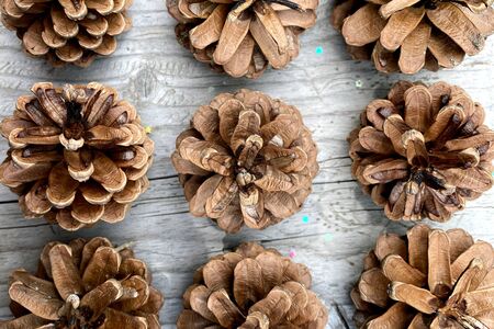 Pine cones. Tree seeds. Coniferous. On wooden Background Top view