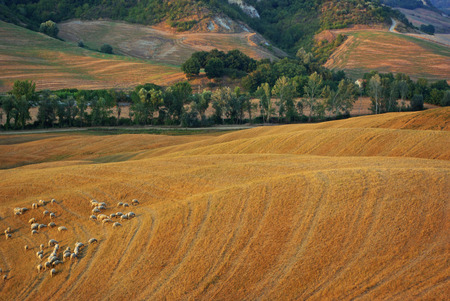 Tuscany landscapeの写真素材