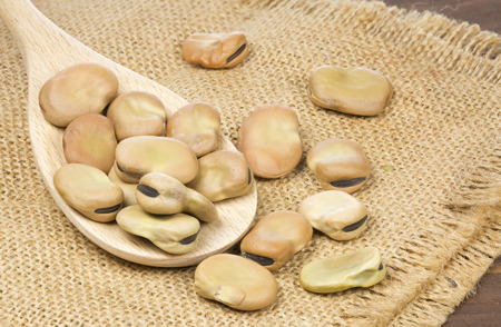Dried broad beans in a wooden spoon on rustic background