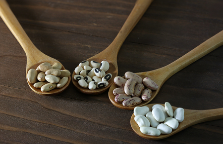 Beans collection in four spoons on wooden background