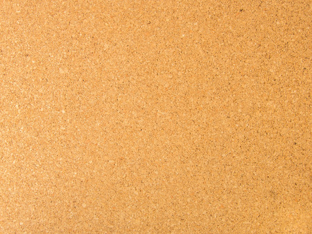cork board simpleの写真素材