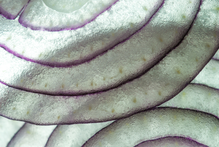 abstract background of red onion slice lit from belowの写真素材