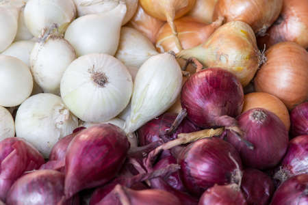 heap of raw assorted red white and yellow onion harvest conceptの写真素材