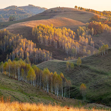 autumn landscape in romania, dumesti villageの写真素材
