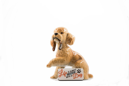 Porcelain poodleの写真素材