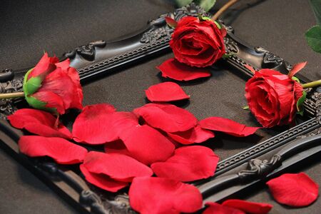 Red rose and loose leaves are arranged in a chic old black picture frame on a black backgroundの写真素材