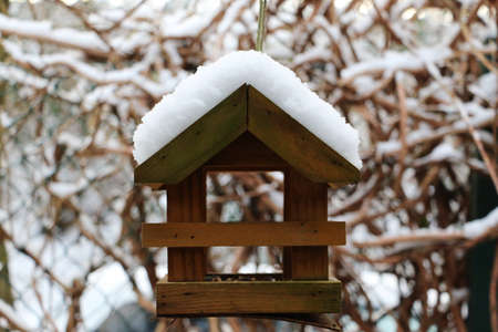 small wooden bird house full of snow is hanging at a tree in the gardenの写真素材