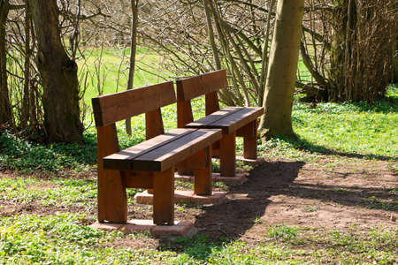two unused wooden benches next to each other in the park