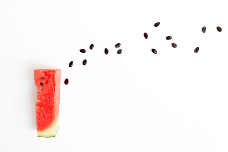 watermelon on white backgroundの写真素材