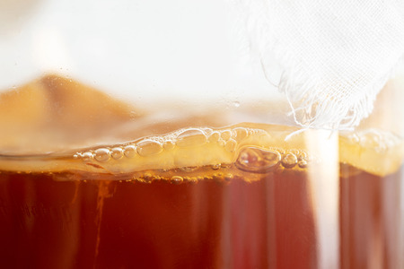 homemade fermented drink Kombucha SCOBYの写真素材