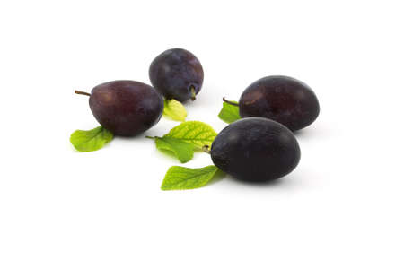 Plums group の写真素材