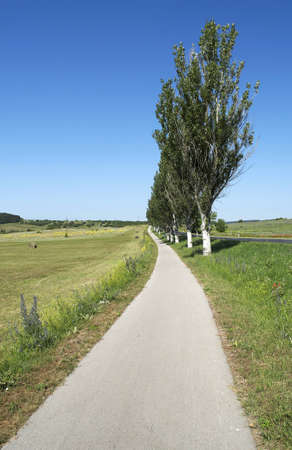 Bicycle road leads across the green meadow の写真素材