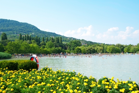 Detail of the Lake Balaton in Badacsony,Hungaryの写真素材