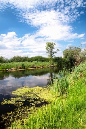 River Zala at Lake Balaton, Hungaryの写真素材