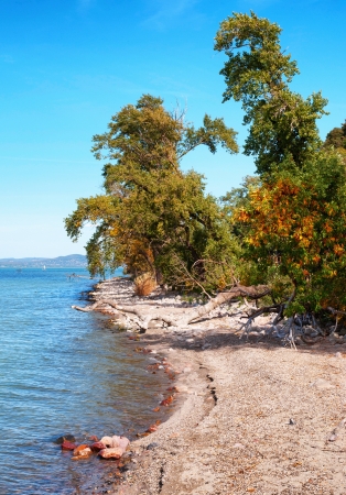 Landscape at Lake Balaton in autumn,Hungaryの写真素材