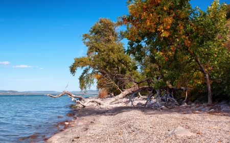 Landscape at Lake Balaton in autumn,Hungaryの写真素材