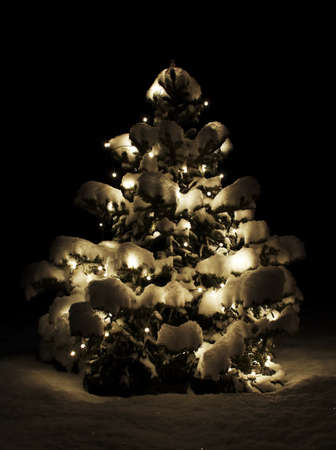 Lightning Christmas tree in the nature の写真素材