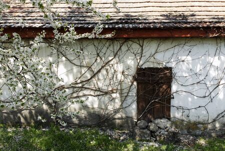 Detail of an abandoned houseの写真素材