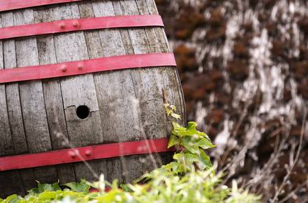 Wine barrel の写真素材